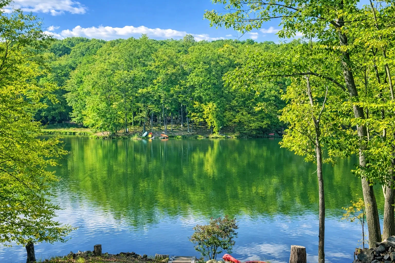 Family-Friendly Luxury modern lakefront retreat